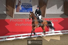ref. photo 3505171
