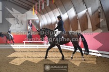 ref. photo 3505220