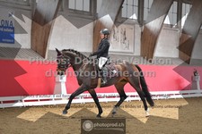 ref. photo 3505229