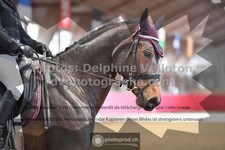 ref. photo 3505230