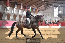 ref. photo 3505237