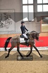 ref. photo 3505274