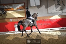 ref. photo 3505276