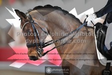 ref. photo 3505278