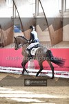 ref. photo 3505285