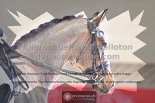 ref. photo 3505295