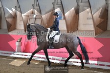ref. photo 3505300