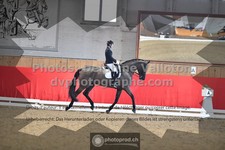 ref. photo 3505304