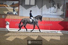 ref. photo 3505305