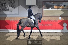 ref. photo 3505311