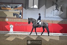 ref. photo 3505314