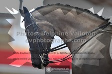 ref. photo 3505315