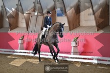 ref. photo 3505321