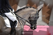 ref. photo 3505322