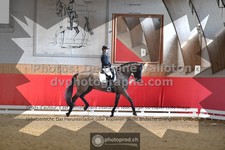 ref. photo 3505325