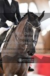 ref. photo 3505331