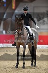 ref. photo 3505339