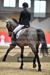 ref. photo 3505341