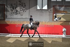 ref. photo 3505343
