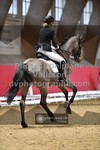 ref. photo 3505354
