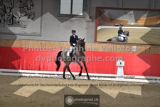 ref. photo 3505359