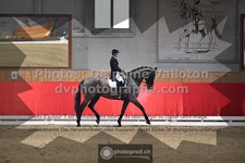 ref. photo 3505395