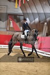 ref. photo 3505400