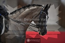 ref. photo 3505401