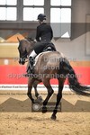 ref. photo 3505424