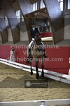 ref. photo 3505429