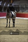 ref. photo 3505432