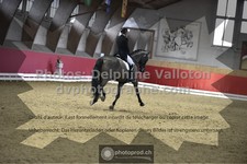 ref. photo 3505444