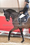 ref. photo 3505492