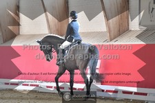 ref. photo 3505493