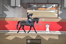 ref. photo 3505506