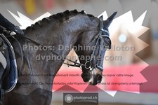 ref. photo 3505513