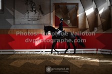 ref. photo 3505517