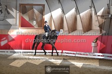 ref. photo 3505522