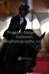 ref. photo 3505530