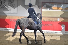ref. photo 3505547