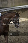 ref. photo 3505569