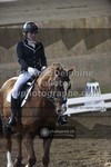 ref. photo 3505570