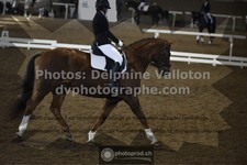 ref. photo 3505573