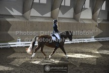 ref. photo 3505581