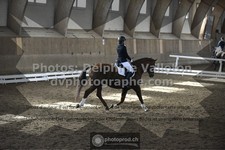 ref. photo 3505582
