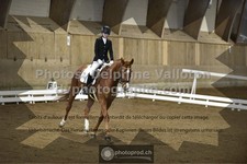 ref. photo 3505590