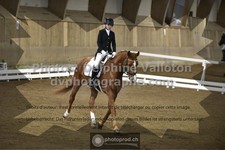 ref. photo 3505591