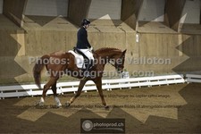 ref. photo 3505593
