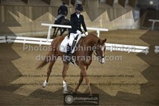 ref. photo 3505595