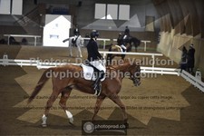 ref. photo 3505600